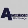 American Mini-Storage